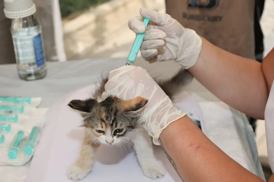 Yonca Veteriner Kliniği — Veteriner kliniği